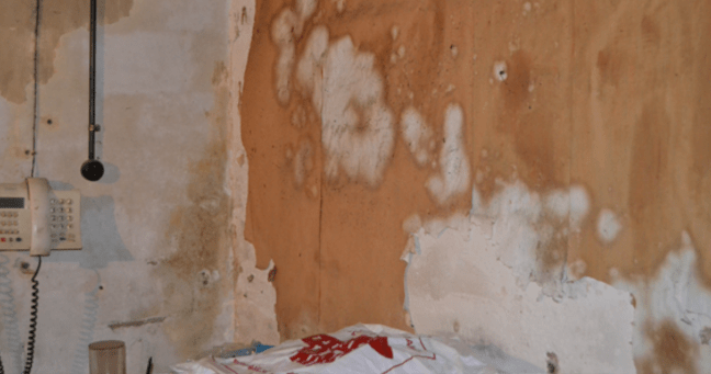 Frenar la involución. Un análisis del anarquismo para el&nbsp;presente