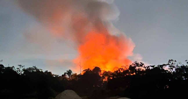 Incendios. Cuando culpamos al&nbsp;bosque